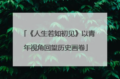 《人生若如初见》以青年视角回望历史画卷