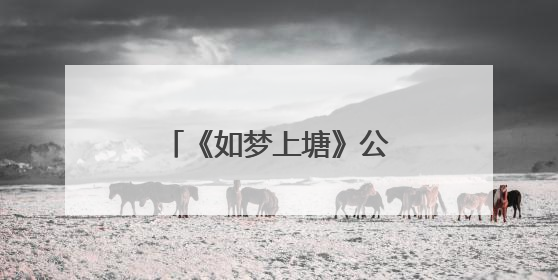 《如梦上塘》公益航班首发启航