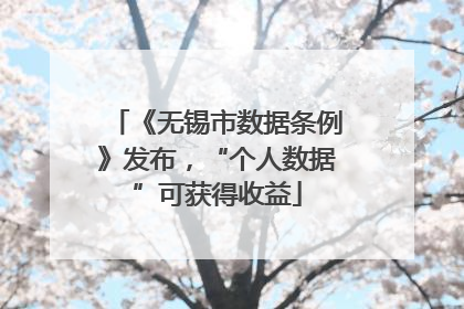 《无锡市数据条例》发布，“个人数据”可获得收益