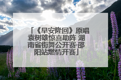 《早安隆回》原唱袁树雄惊喜助阵 湖南省街舞公开赛·邵阳站燃情开赛