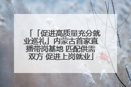 「促进高质量充分就业巡礼」内蒙古首家直播带岗基地 匹配供需双方 促进上岗就业