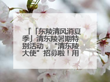 「东陵清风消夏季」清东陵暑期特别活动，“清东陵大使”招募啦！用你的热爱守护世界遗产！