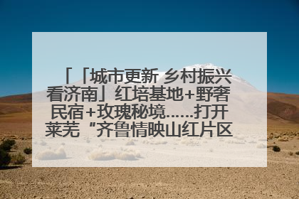 「城市更新 乡村振兴看济南」红培基地+野奢民宿+玫瑰秘境……打开莱芜“齐鲁情映山红片区”的破圈秘籍