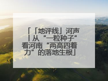 「地评线」河声丨从“一粒种子”看河南“两高四着力”的落地生根