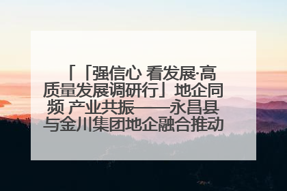 「强信心 看发展·高质量发展调研行」地企同频 产业共振——永昌县与金川集团地企融合推动重大项目建设