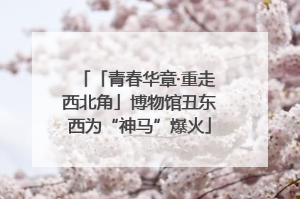 「青春华章·重走西北角」博物馆丑东西为“神马”爆火