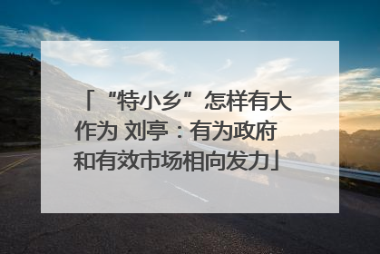 “特小乡”怎样有大作为 刘亭：有为政府和有效市场相向发力