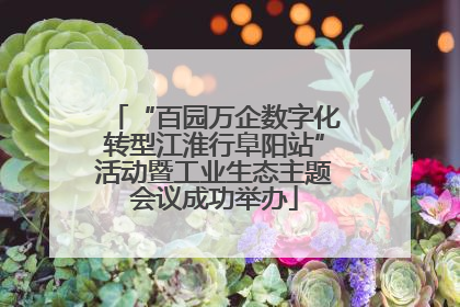 “百园万企数字化转型江淮行阜阳站”活动暨工业生态主题会议成功举办