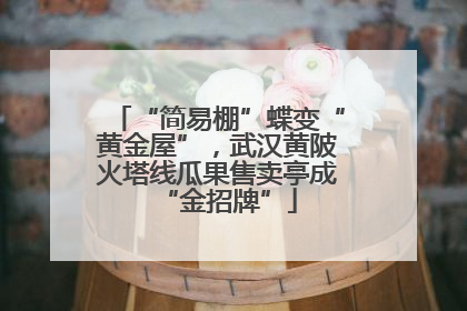 “简易棚”蝶变“黄金屋”，武汉黄陂火塔线瓜果售卖亭成“金招牌”