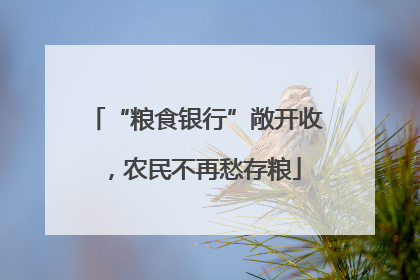 “粮食银行”敞开收，农民不再愁存粮