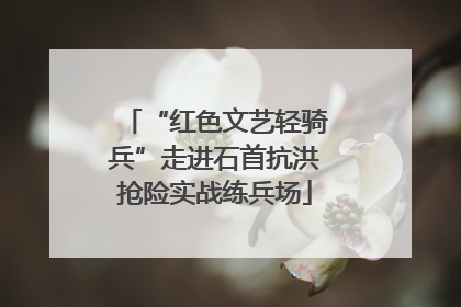 “红色文艺轻骑兵”走进石首抗洪抢险实战练兵场