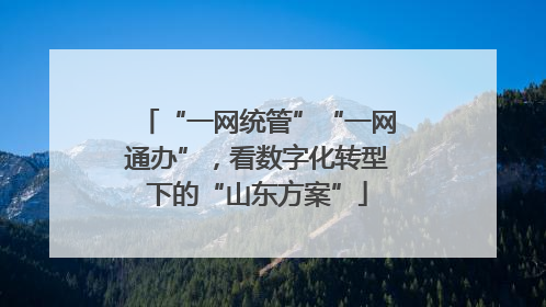 “一网统管”“一网通办”，看数字化转型下的“山东方案”