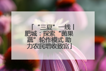 “三夏”一线丨肥城：探索“菌果蔬”轮作模式 助力农民增收致富