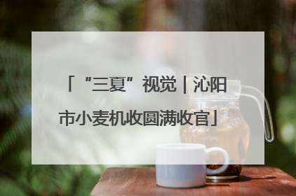“三夏”视觉｜沁阳市小麦机收圆满收官