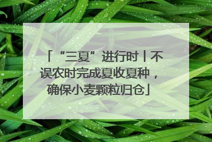 “三夏”进行时丨不误农时完成夏收夏种，确保小麦颗粒归仓
