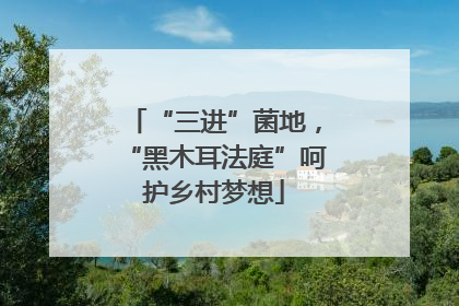 “三进”菌地，“黑木耳法庭”呵护乡村梦想