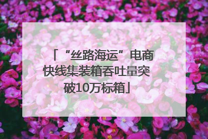“丝路海运”电商快线集装箱吞吐量突破10万标箱