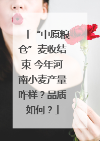 “中原粮仓”麦收结束 今年河南小麦产量咋样？品质如何？