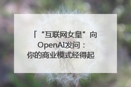“互联网女皇”向OpenAI发问：你的商业模式经得起价格战考验么？