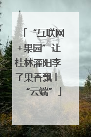 “互联网+果园”让桂林灌阳李子果香飘上“云端”