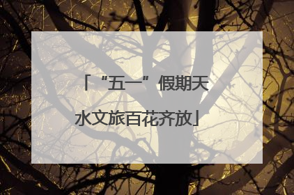 “五一”假期天水文旅百花齐放