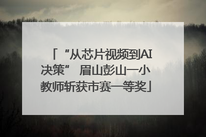 “从芯片视频到AI决策” 眉山彭山一小教师斩获市赛一等奖