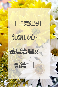 “党建引领聚民心·基层治理展新篇”