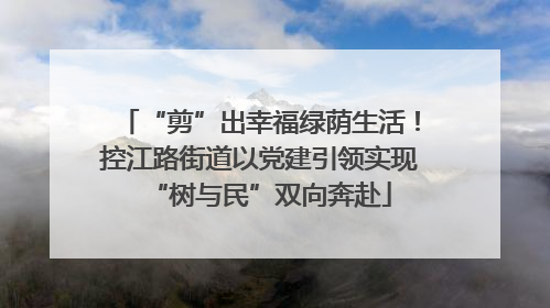 “剪”出幸福绿荫生活！控江路街道以党建引领实现“树与民”双向奔赴