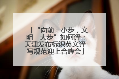 “向前一小步，文明一大步”如何译：天津发布标识英文译写规范迎上合峰会