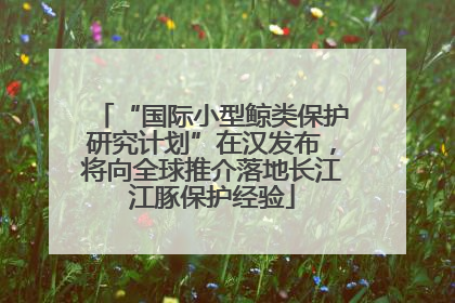 “国际小型鲸类保护研究计划”在汉发布，将向全球推介落地长江江豚保护经验