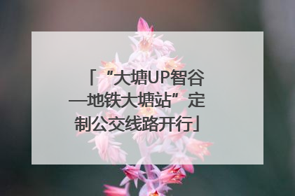“大塘UP智谷—地铁大塘站”定制公交线路开行