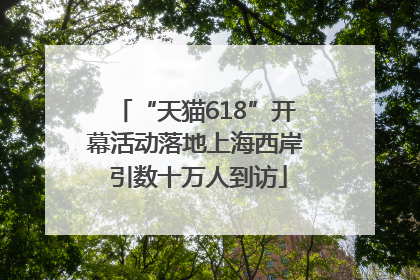 “天猫618”开幕活动落地上海西岸 引数十万人到访