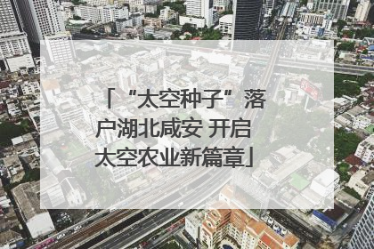 “太空种子”落户湖北咸安 开启太空农业新篇章