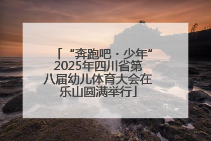 “奔跑吧・少年”2025年四川省第八届幼儿体育大会在乐山圆满举行