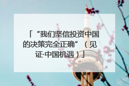 “我们坚信投资中国的决策完全正确”（见证·中国机遇）