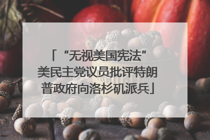 “无视美国宪法” 美民主党议员批评特朗普政府向洛杉矶派兵