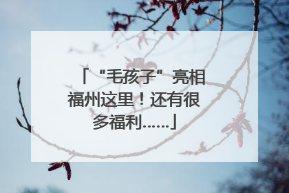 “毛孩子”亮相福州这里！还有很多福利……