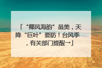 “椰风海韵”虽美，天降“巨叶”要防！台风季，有关部门提醒→