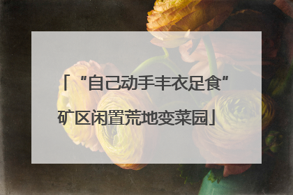 “自己动手丰衣足食”矿区闲置荒地变菜园