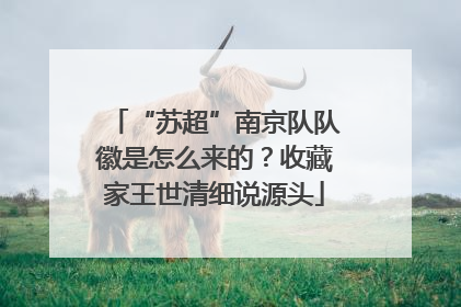 “苏超”南京队队徽是怎么来的？收藏家王世清细说源头