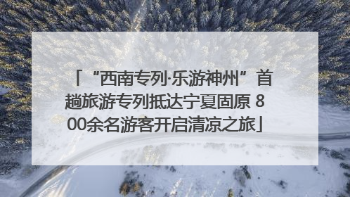 “西南专列·乐游神州”首趟旅游专列抵达宁夏固原 800余名游客开启清凉之旅