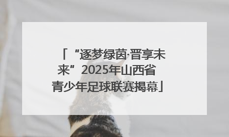 “逐梦绿茵·晋享未来”2025年山西省青少年足球联赛揭幕