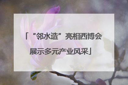 “邻水造”亮相西博会 展示多元产业风采