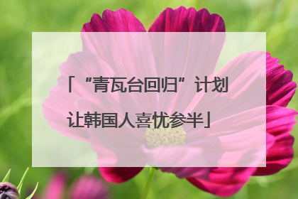 “青瓦台回归”计划让韩国人喜忧参半