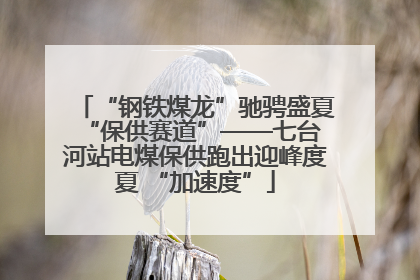 “钢铁煤龙”驰骋盛夏 “保供赛道”——七台河站电煤保供跑出迎峰度夏 “加速度”