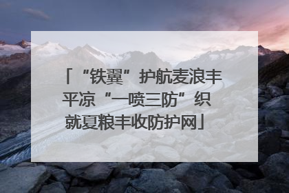 “铁翼”护航麦浪丰 平凉“一喷三防”织就夏粮丰收防护网