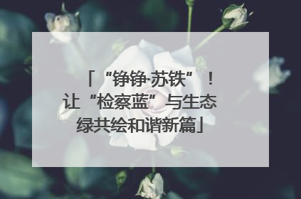“铮铮·苏铁”！让“检察蓝”与生态绿共绘和谐新篇