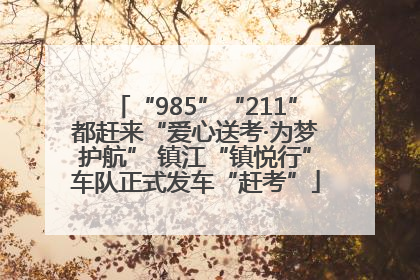 “985”“211”都赶来“爱心送考·为梦护航” 镇江“镇悦行”车队正式发车“赶考”