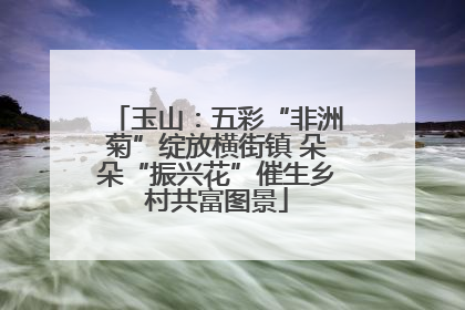 玉山：五彩“非洲菊”绽放横街镇 朵朵“振兴花”催生乡村共富图景