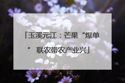 玉溪元江：芒果“爆单” 联农带农产业兴